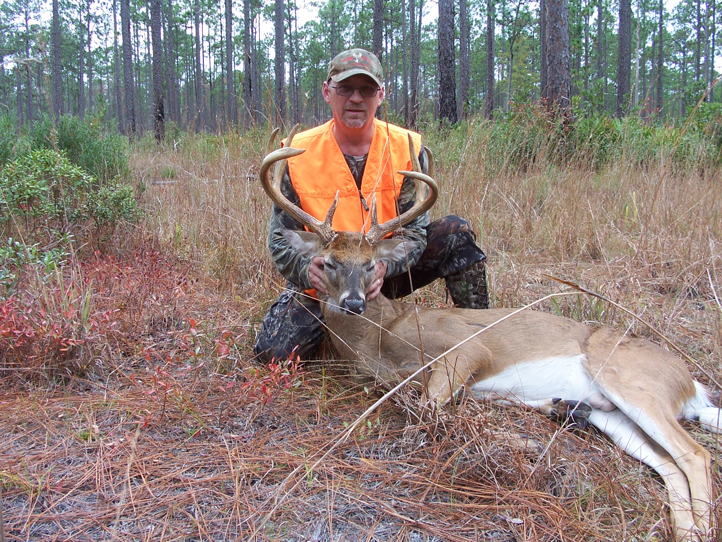 Deer Hunting Fort Stewart Isportsman